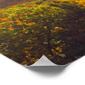 OKTOBER BIJ DE SLAEEPING BEER DUNES NATIONAL PARK POSTER (Hoek)