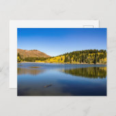 Oktober bij Payson Lakes Briefkaart (Voorkant / Achterkant)