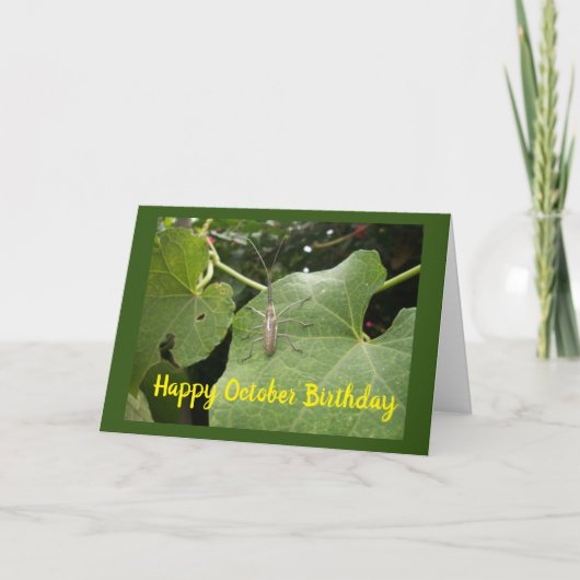 ** OKTOBER BIRTHDAY WISHT* MET EEN KOOLBUG KAART (Voorkant)