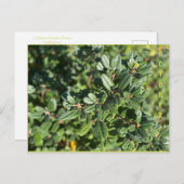 OKTOBER BRIEFKAART (Voorkant / Achterkant)