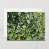 OKTOBER BRIEFKAART (Voorkant / Achterkant)