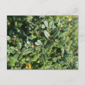 OKTOBER BRIEFKAART (Voorkant)