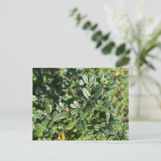 OKTOBER BRIEFKAART (Staand voorkant)