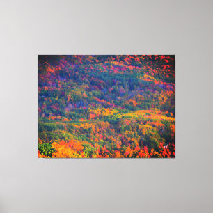 Oktober Colors Triptych Canvas Afdruk