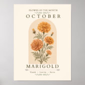 Oktober Fluweelbloem Geboortebloem Poster (Voorkant)