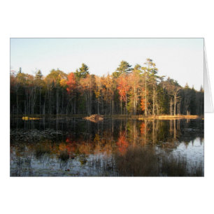 Oktober in New Hampshire