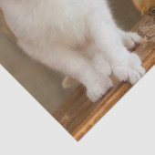 oktober kattetissuepapier tissuepapier (Detail)