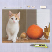 oktober kattetissuepapier tissuepapier (Craft)