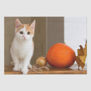 oktober kattetissuepapier tissuepapier