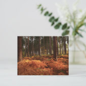 Oktober Light Briefkaart (Staand voorkant)