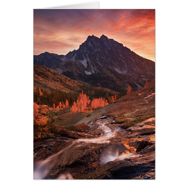 Oktober Light on Headlight Basin (Voorkant)