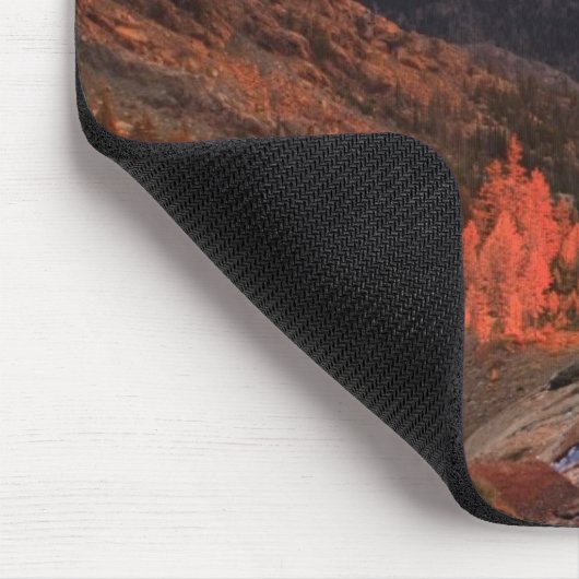 Oktober Light on Headlight Basin Muismat (Hoek)