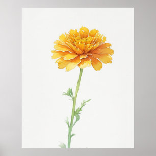 Oktober marigold Birth Flower Poster
