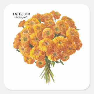 Oktober Marigold Verjaardagscadeau Vierkante Sticker