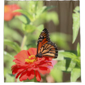 Oktober Monarch Douchegordijn (Voorkant)