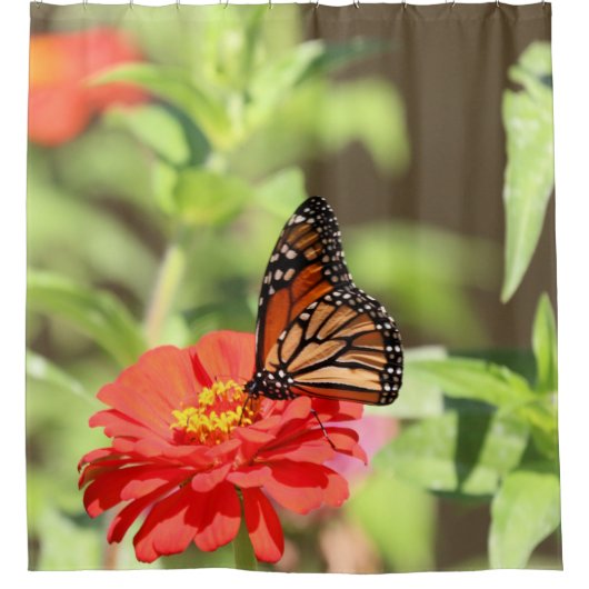 Oktober Monarch Douchegordijn (Voorkant)