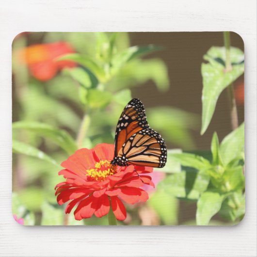 Oktober Monarch Muismat (Voorkant)