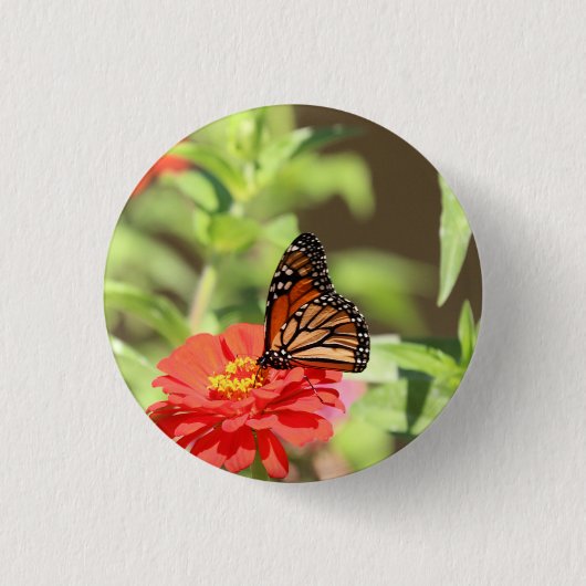 Oktober Monarch Ronde Button 3,2 Cm (Voorkant)