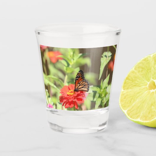 Oktober Monarch Shot Glas (Voorkant)