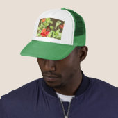 Oktober Monarch Trucker Pet (In situ)