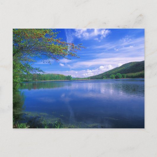 Oktober Mountain State Forest Berkshires Briefkaart (Voorkant)