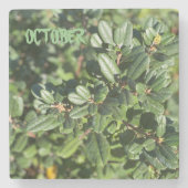 OKTOBER STENEN ONDERZETTER (Voorkant)