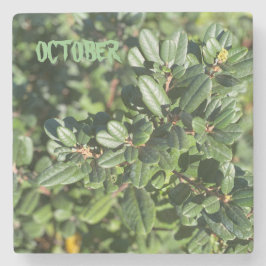 OKTOBER STENEN ONDERZETTER