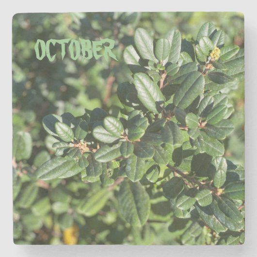 OKTOBER STENEN ONDERZETTER (Voorkant)