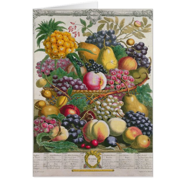 Oktober, van 'twaalf maanden fruit' (Voorkant)