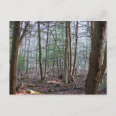 OktoberBriefkaart Briefkaart (Voorkant)