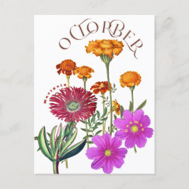 Oktobermaand Bloemen Marigold Cosmos Fancy Briefkaart
