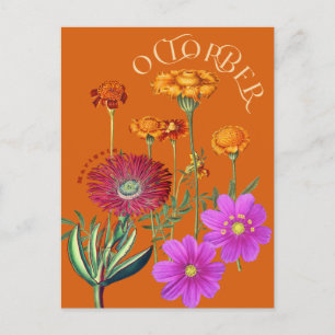 Oktobermaand Bloemen Marigold Cosmos Sinaasappel Briefkaart