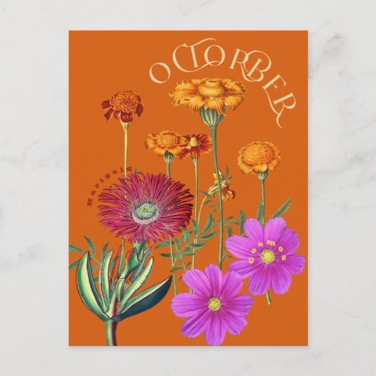 Oktobermaand Bloemen Marigold Cosmos Sinaasappel Briefkaart (Voorkant)