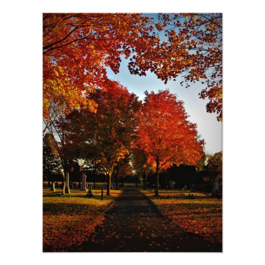 "Oktoberschijn" Foto Afdruk (Voorkant)