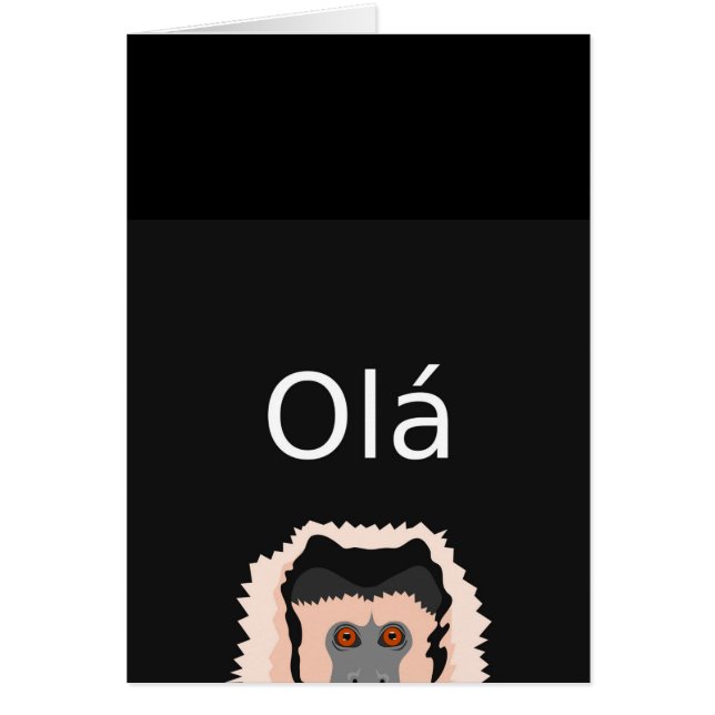 Ola-Monkey (Voorkant)
