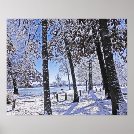 "OLANDER PARK IN SNOW" POSTER (Voorkant)