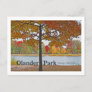 Olander Park, Sylvania, Ohio USA/Autumn Colors Briefkaart