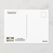 Old Abandoned Store Postcard Briefkaart (Achterkant)