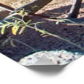 Old Arizona Wagon Poster (Hoek)