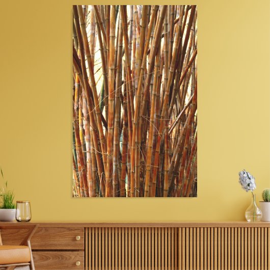 Old Bamboo Canvas Afdruk (Insitu (Woonkamer))
