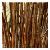 Old Bamboo Perfect Poster (Voorkant)