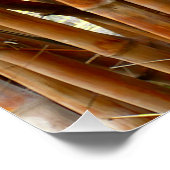 Old Bamboo Perfect Poster (Hoek)