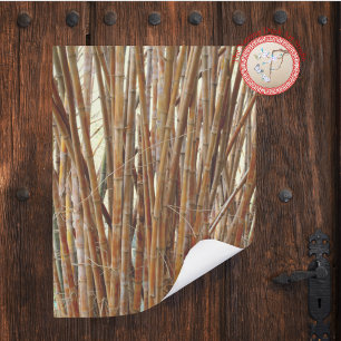Old Bamboo Perfect Poster