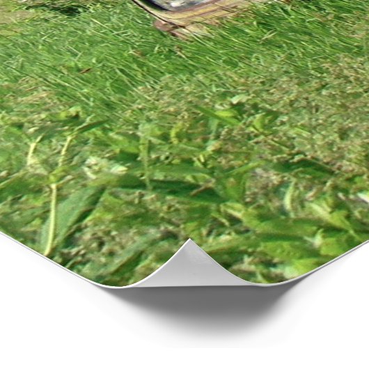 Old Barn Mail Pouch Tobacco Adverteren Poster (Hoek)