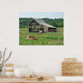 Old Barn Mail Pouch Tobacco Adverteren Poster (Keuken)