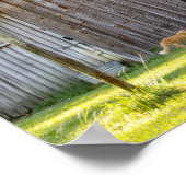 Old Barn Poster (Hoek)