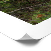 Old Barn Poster (Hoek)