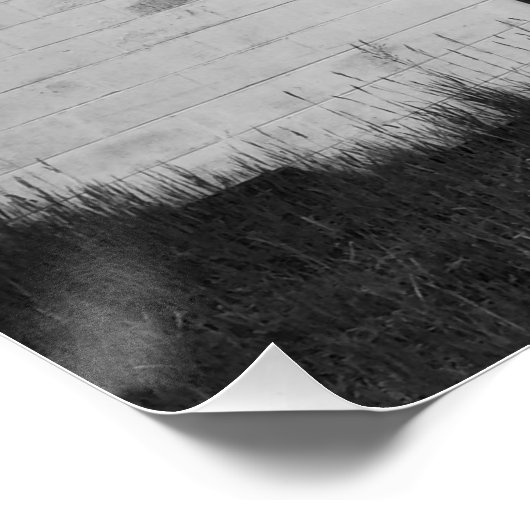 Old Barn Poster (Hoek)