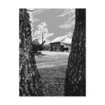 Old Barn Rural Barns Country Black & White Foto