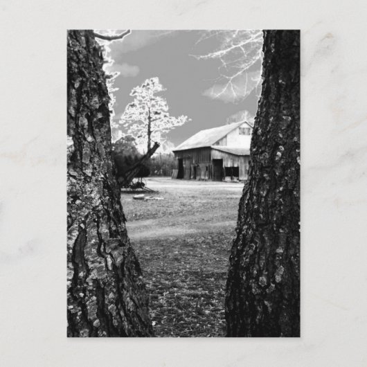 Old Barn Rural Barns Country Black & White Foto Briefkaart (Voorkant)
